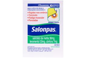 Salonpas Emplastro Pequeno Com 10 Unidades