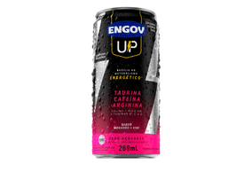 Engov Up Morango e Kiwi 269 ml