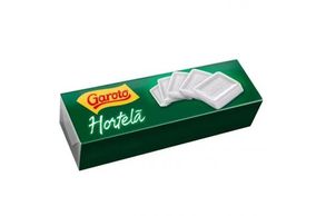 Pastilha Garoto Hortelã 17g