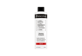 Shampoo Antiqueda AQ-01 250ml Principia