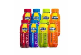 Kit Engov After 4 Sabores 2 Unidades Cada 250 ML